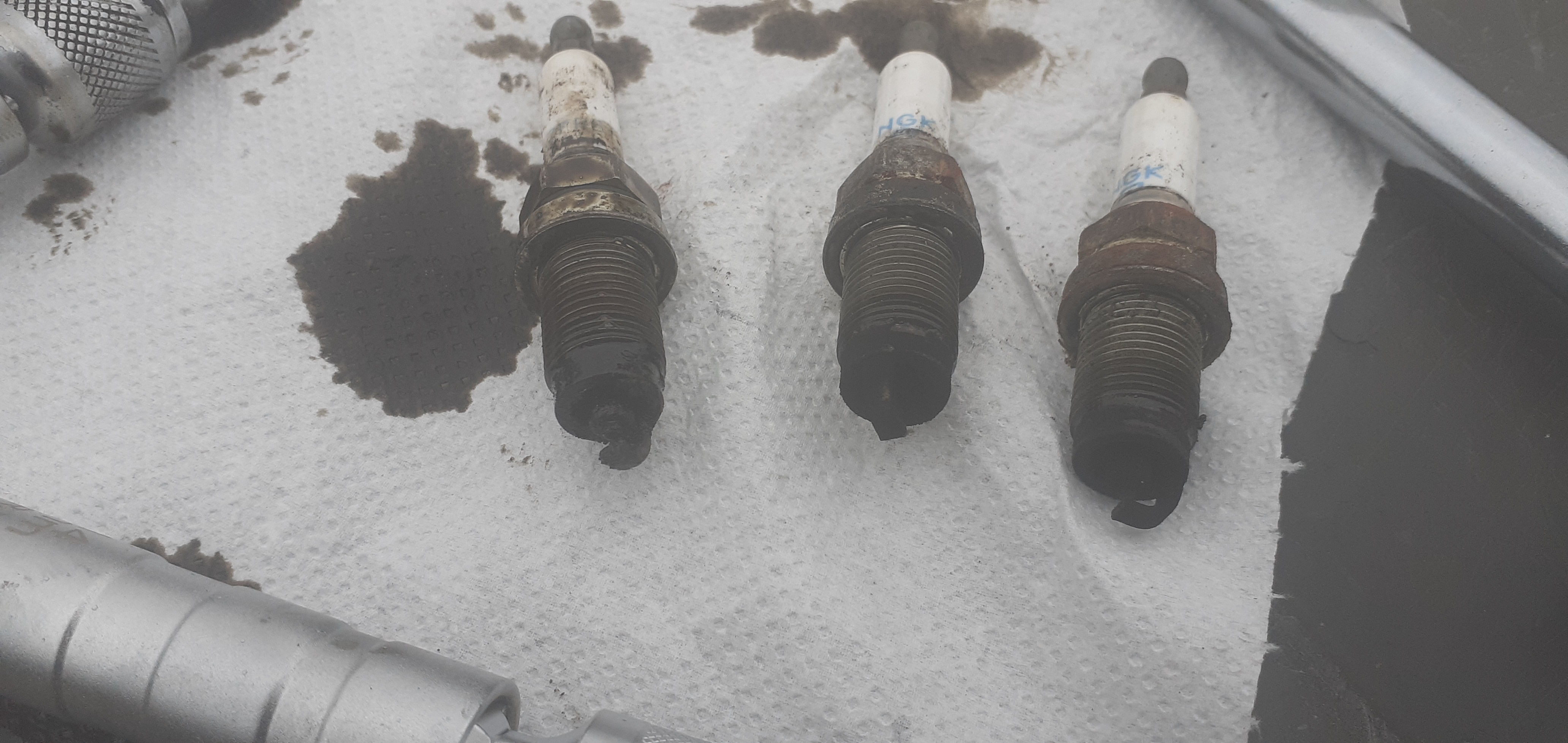 polo plugs.jpg