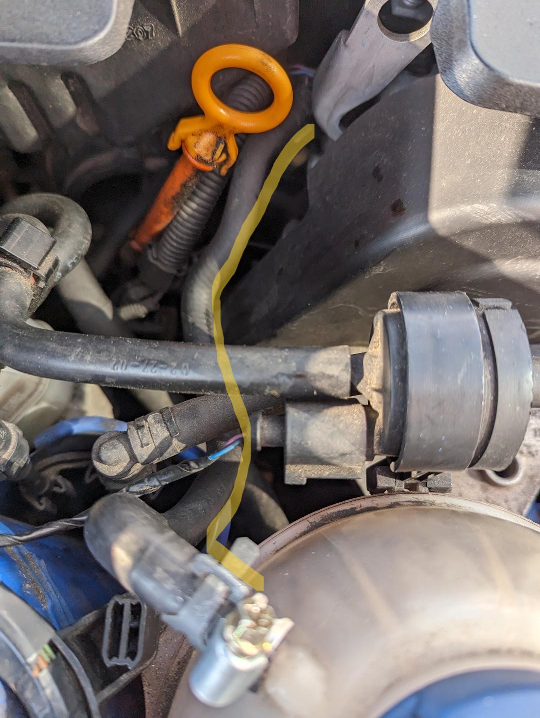 Hose2.jpg