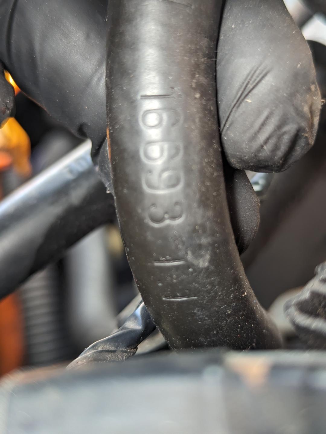 Hose1.jpg