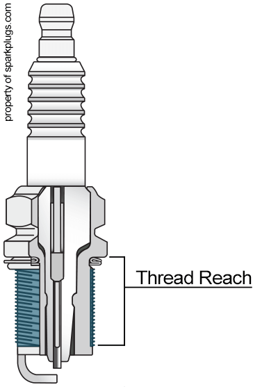 Anatomy_Reach.png