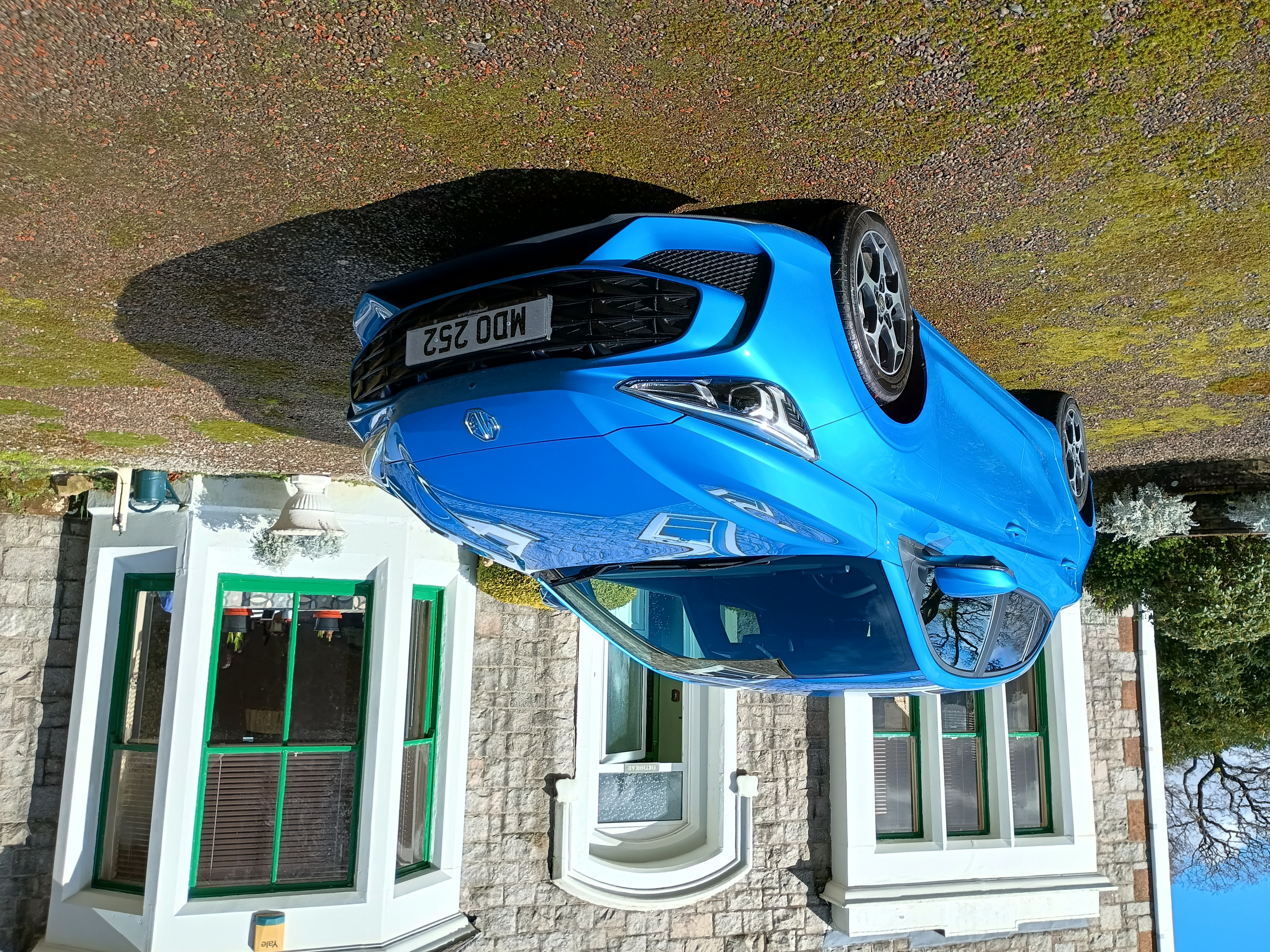 MG3.jpg