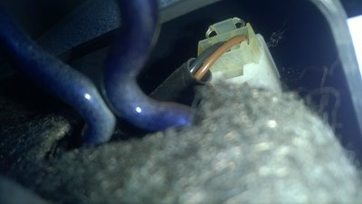WP_20180828_001.jpg