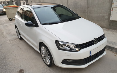 POLO 1.jpg