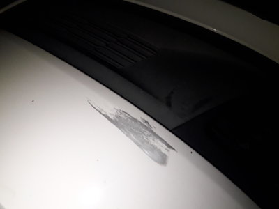 20181111_183948.jpg