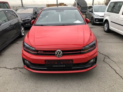 polo 1.jpg