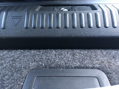 Lower Trunk.jpg