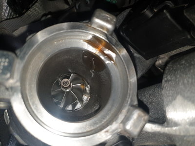 20190504_125546.jpg