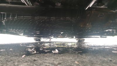 20190425_122404.jpg