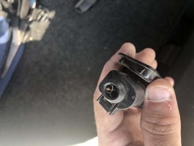 IMG_0148.jpg