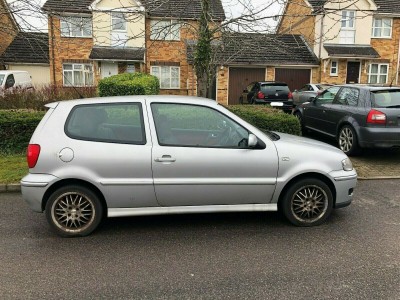 Polo-2.jpg