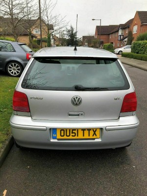 Polo-4.jpg