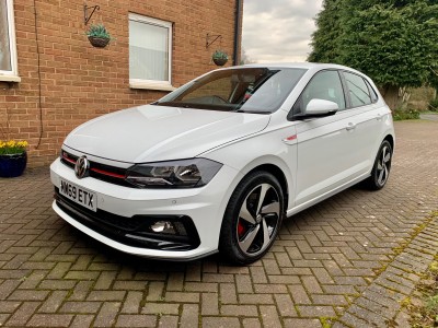 polo1.jpg