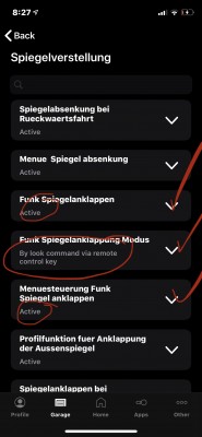 OBDeleven on iOS the settings Are already as described