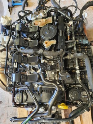 bcd4a206-56a1-4d44-b2a5-7a4fda7b603e.JPG