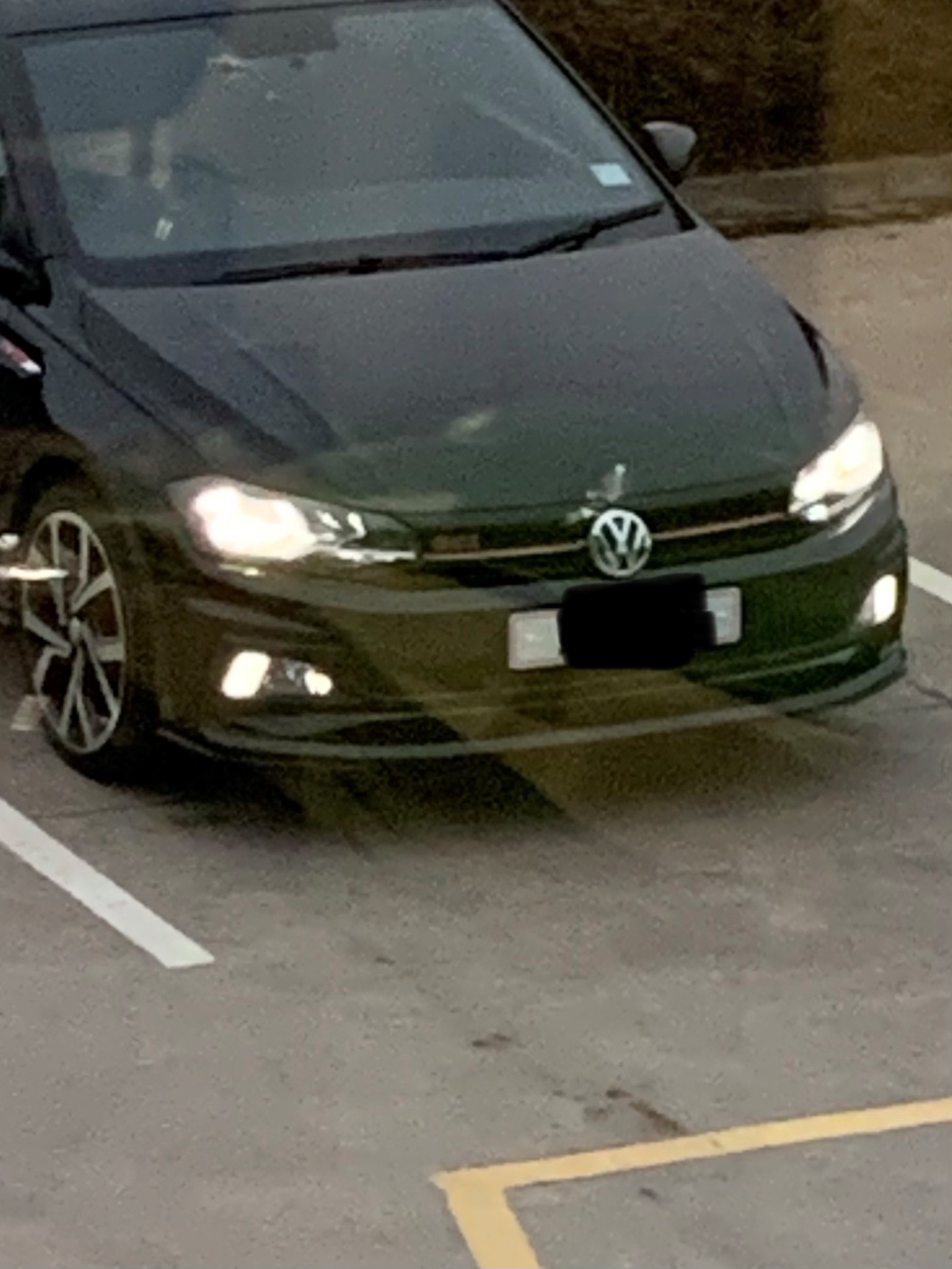 Polo.jpg