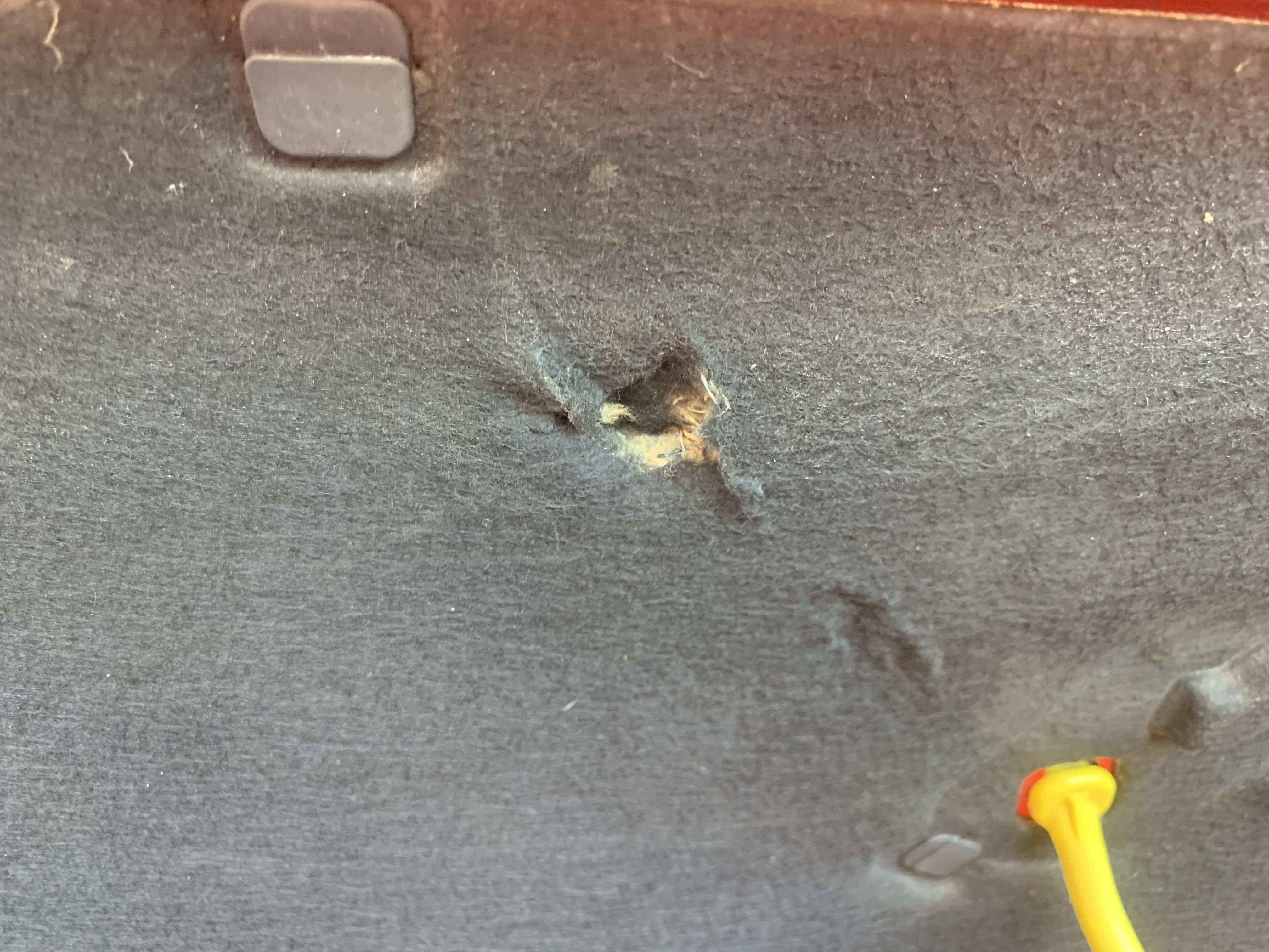 Under bonnet damage 2.jpg