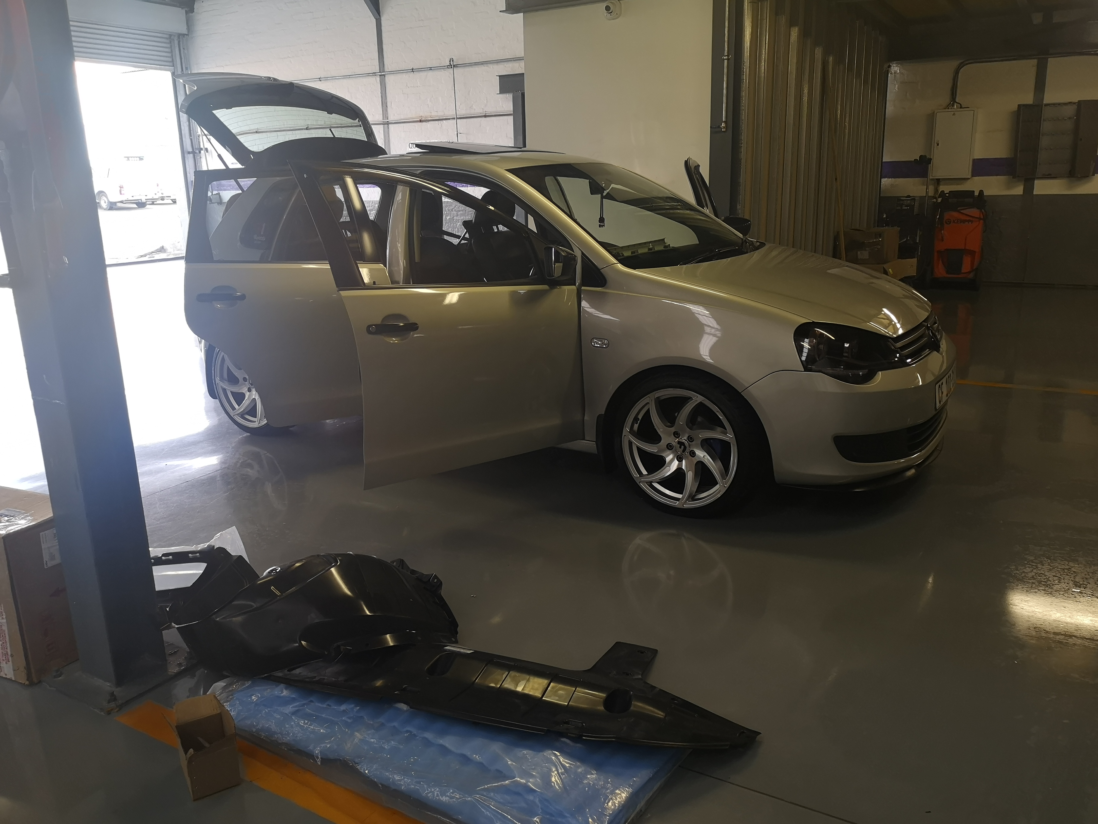 Polo Vivo