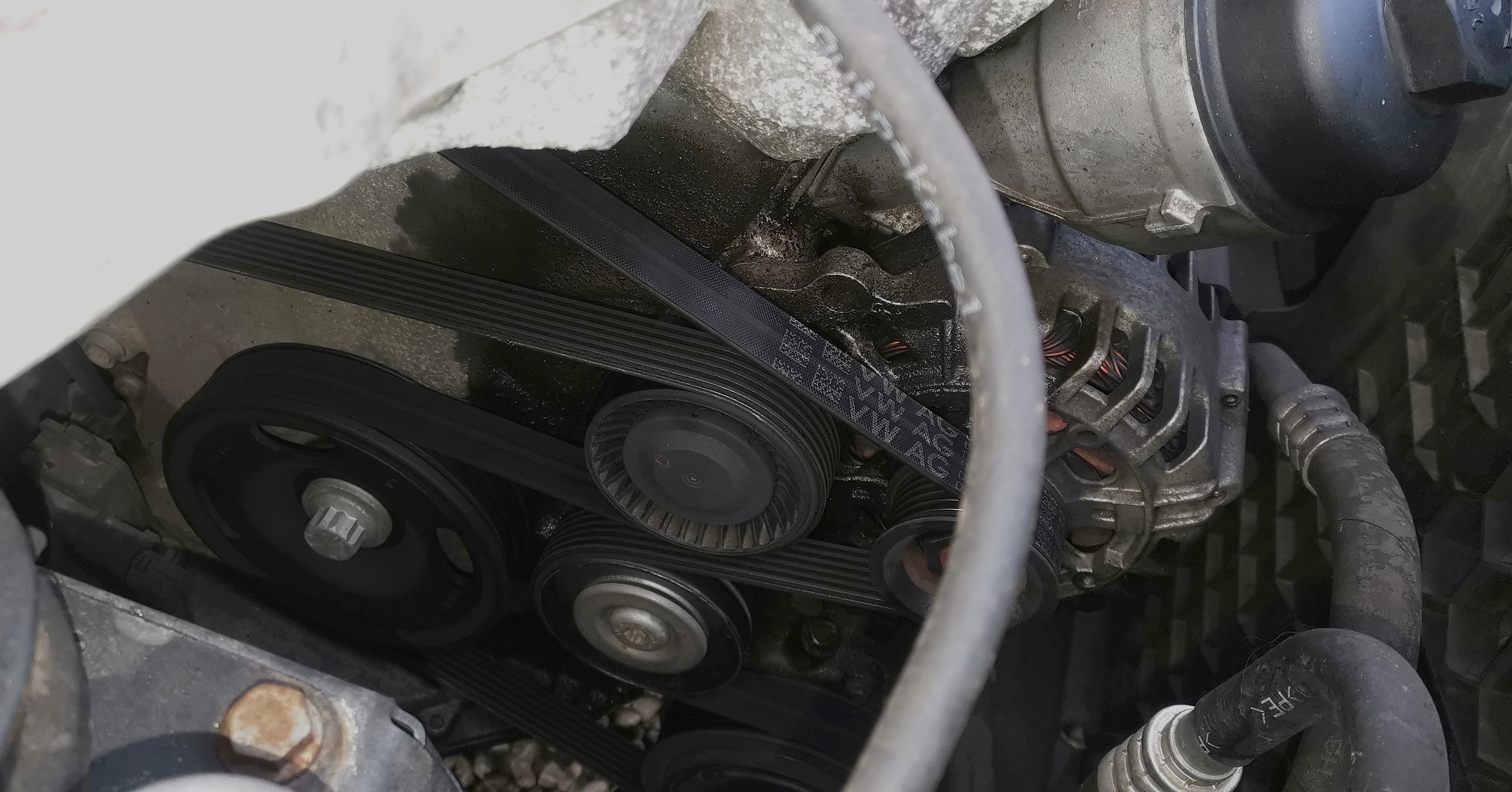 Oil beside timing belt