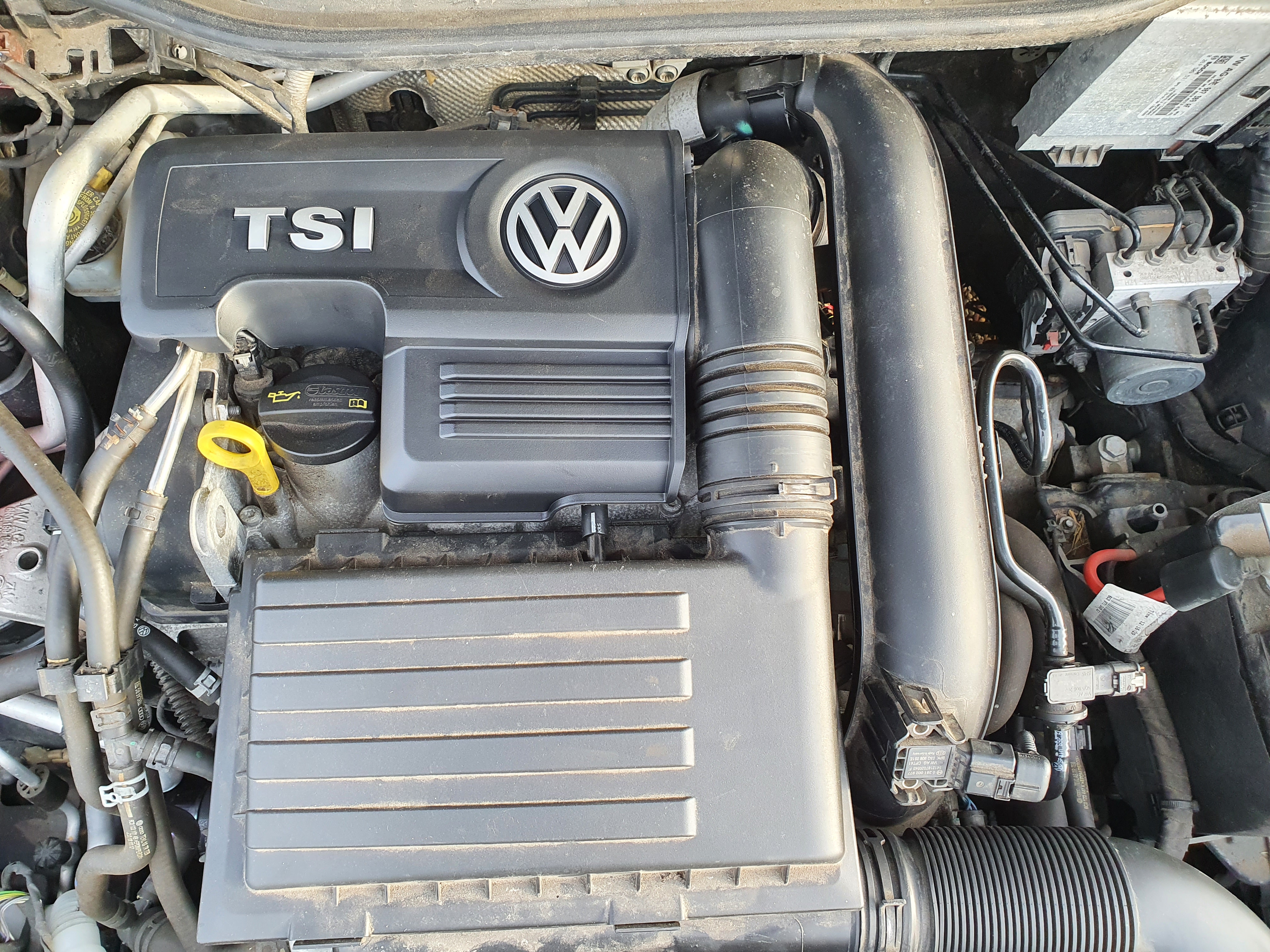 VW2.jpg