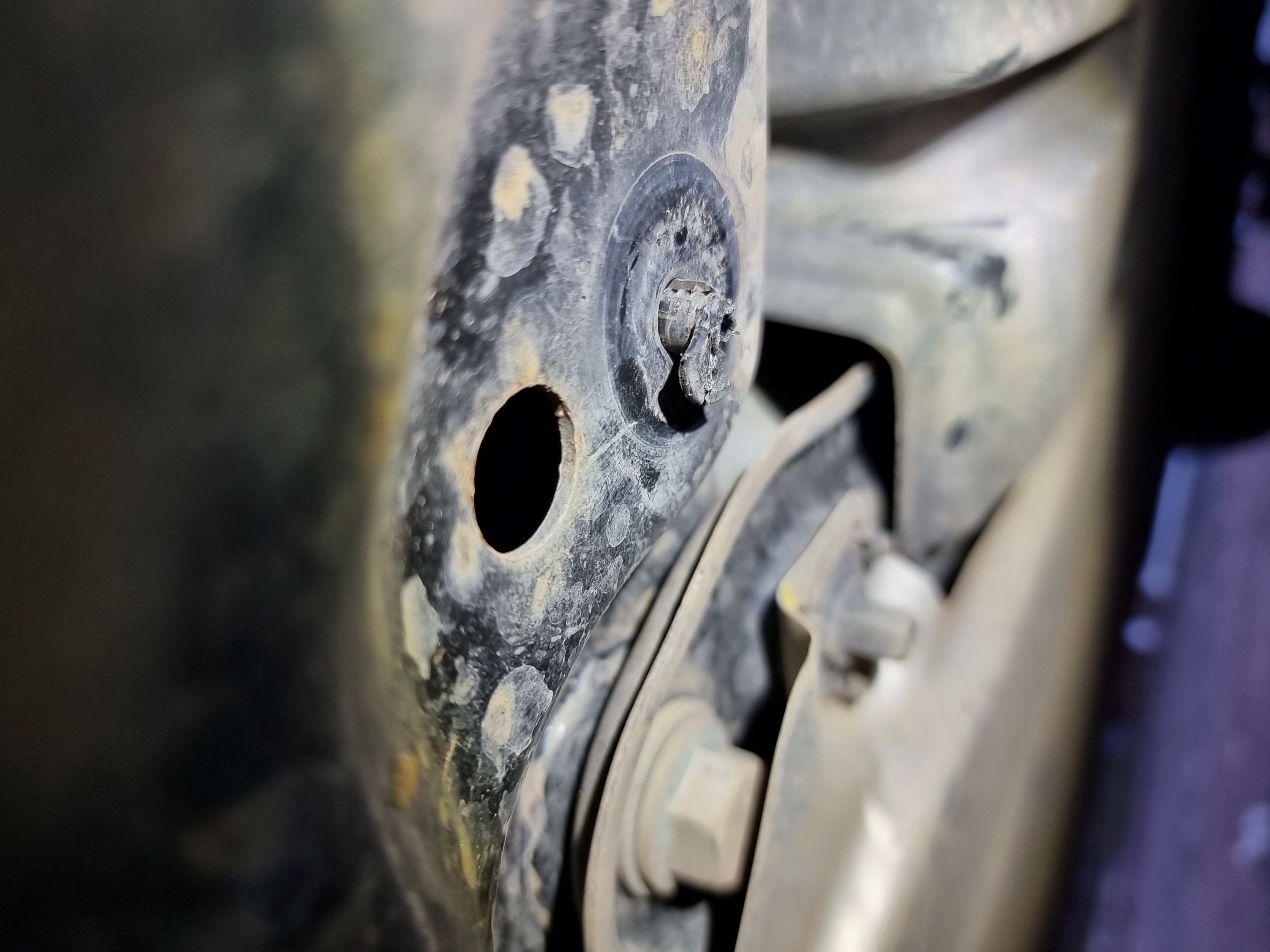 20221022_180304.jpg