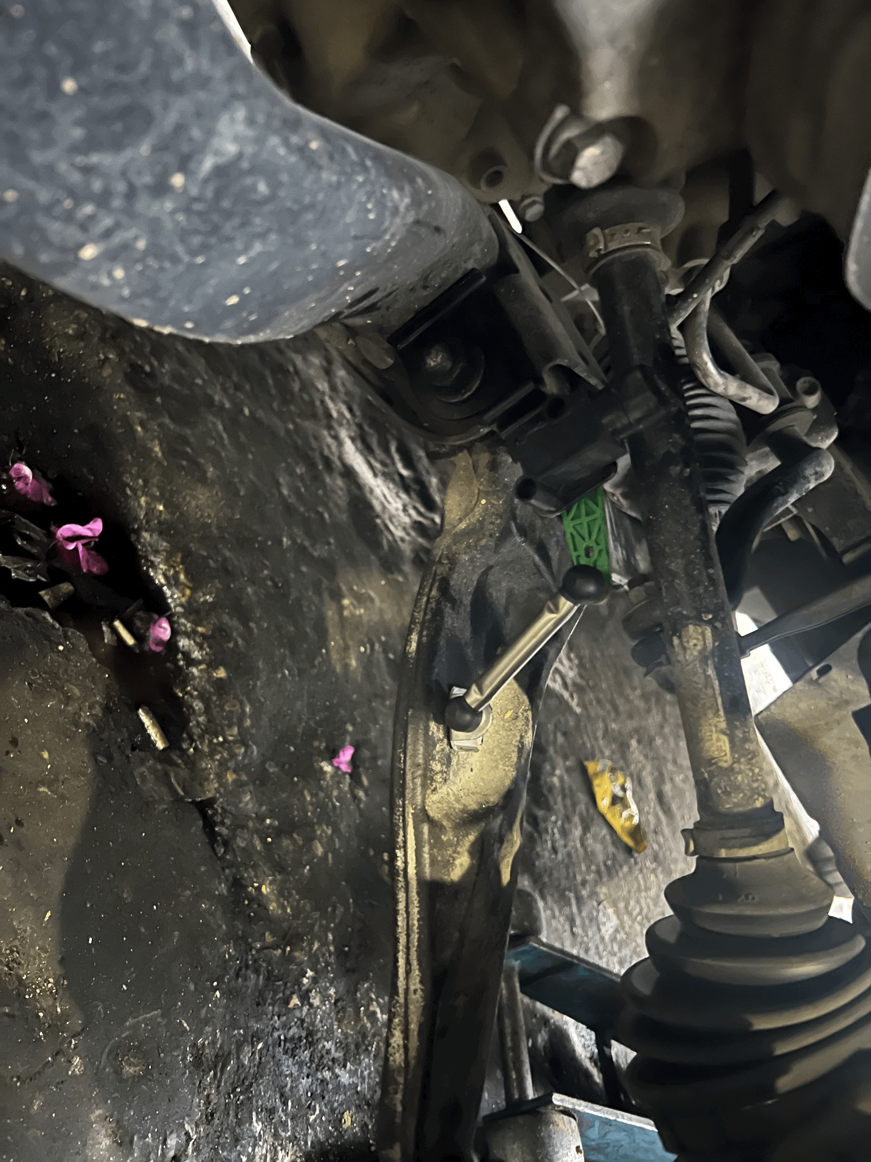 tempImageQGeL7C.gif