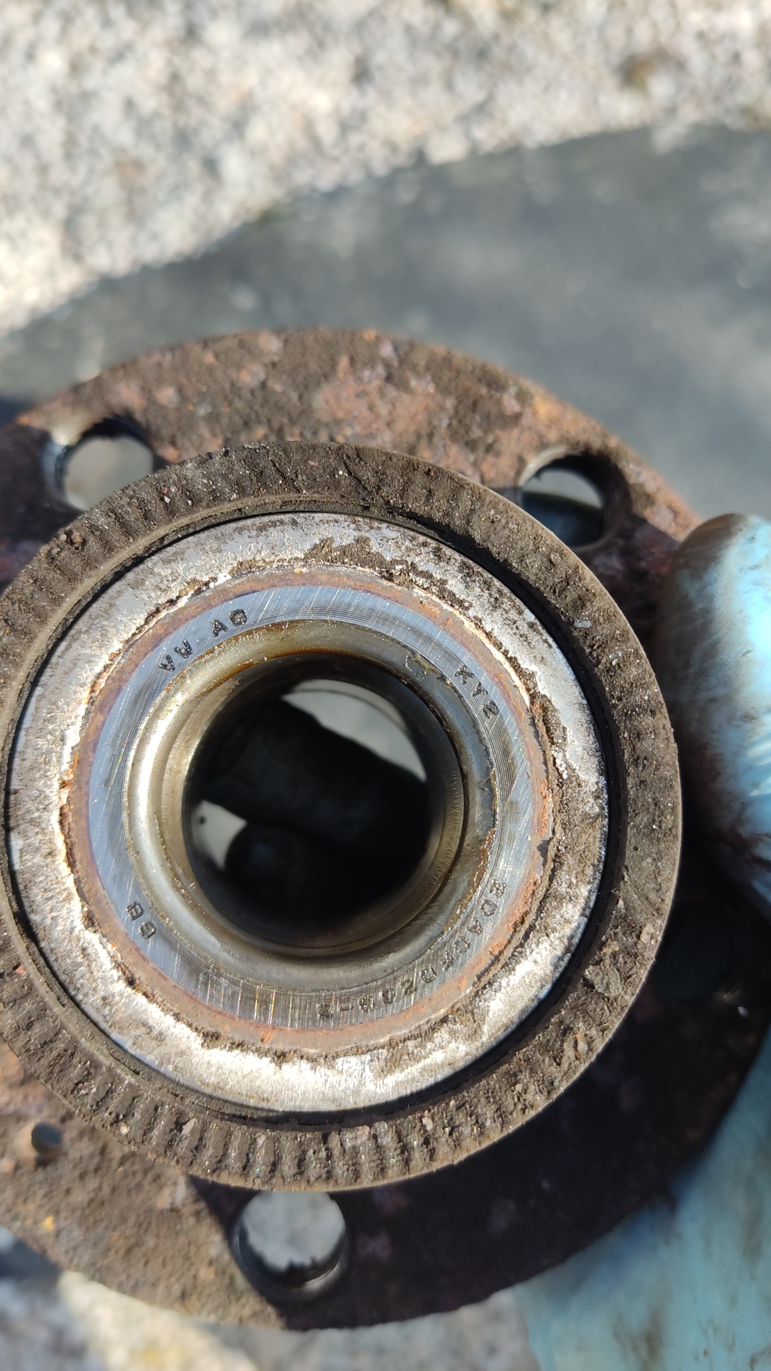 Snapchat-554682090.jpg