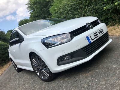Front polo.jpg